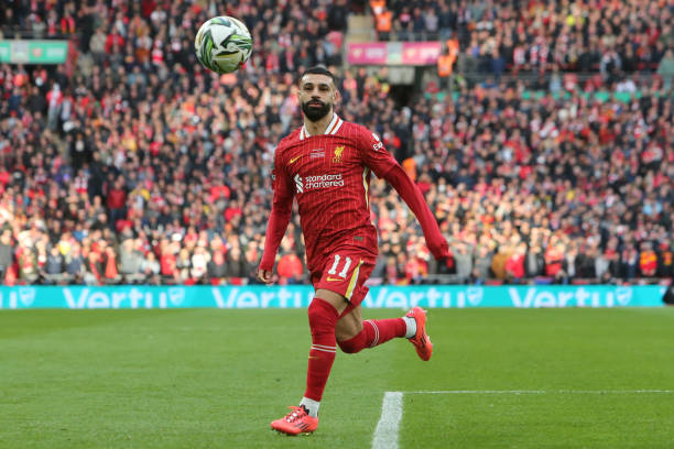 种沉稳老练 种沉稳老练