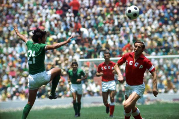 球市场的经 球市场的经